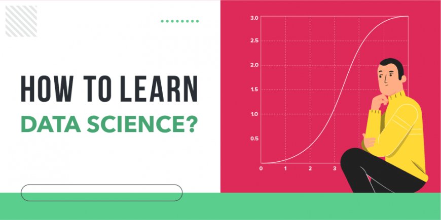 How to Learn Data Science: A Friendly Guide for Beginners