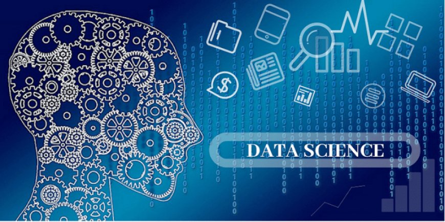 The Importance of  Data Scientist in the Current Business Environment