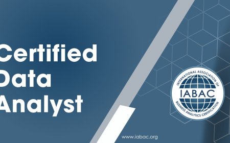 Why Every Business Needs a Certified Data Analyst