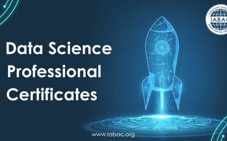 The Role of Data Science Professional Certificates