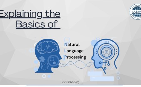 Explaining the Basics of Natural Language Processing