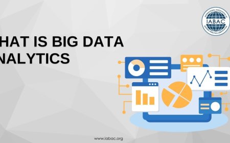 What is Big Data Analytics?