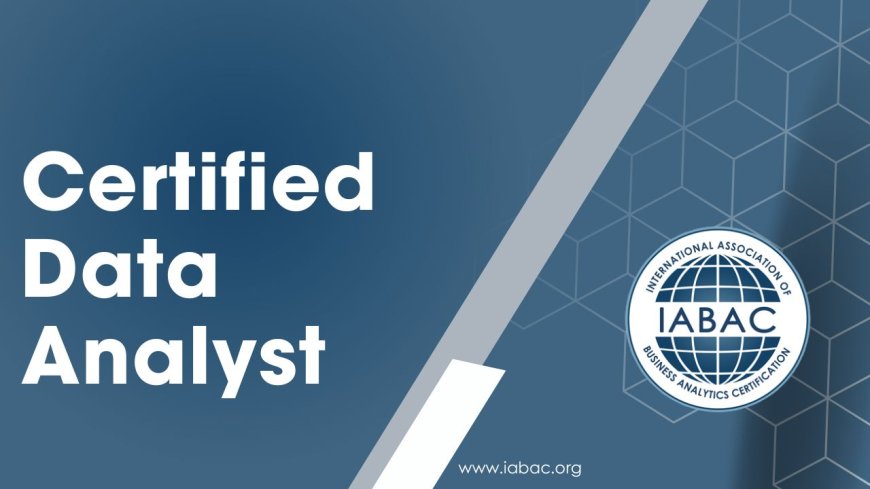 Why Every Business Needs a Certified Data Analyst