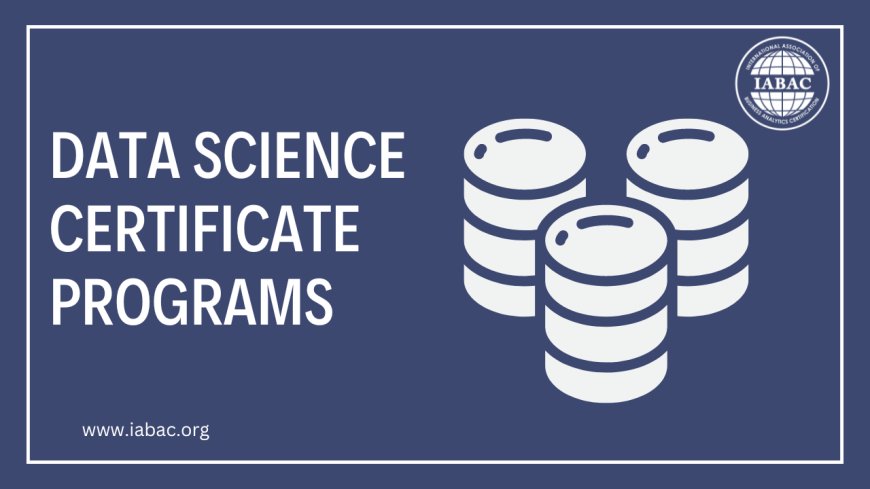 Boost your Career with Data Science Certificate Programs
