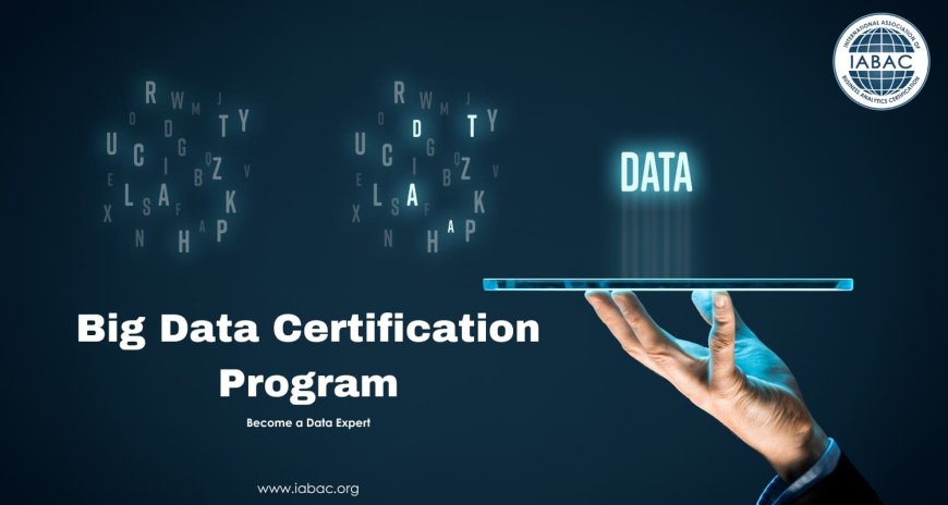 Big Data Certification Program Become an Expert in Data
