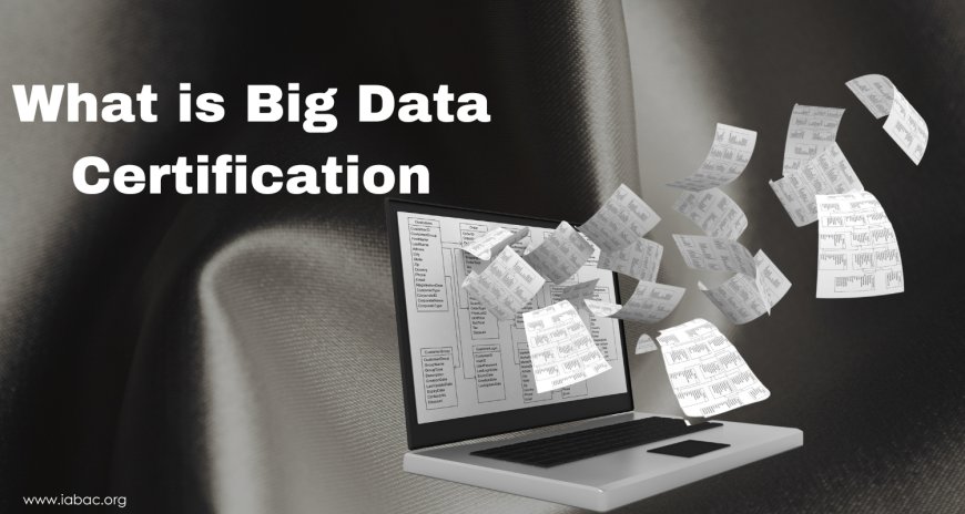 What is Big Data Certification