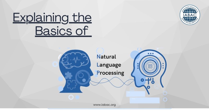 Explaining the Basics of Natural Language Processing