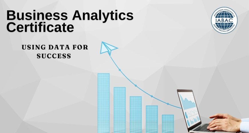 Business Analytics Certificate Using Data for Success