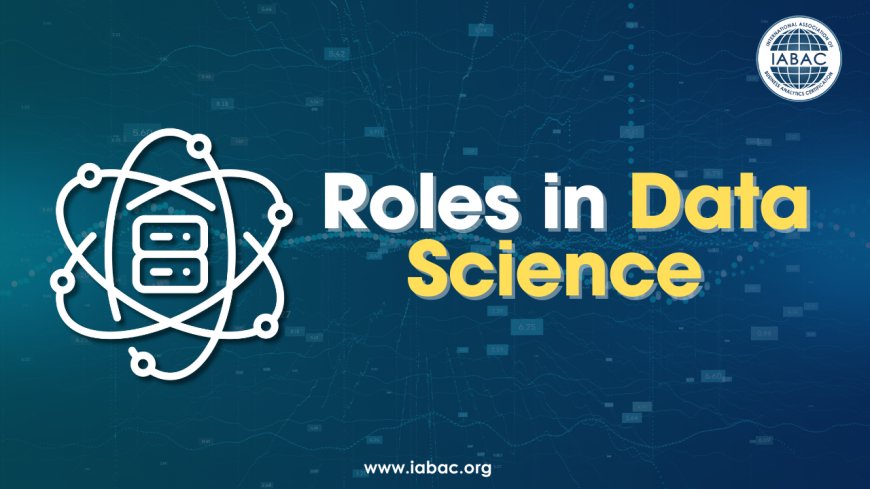 Understanding Key Roles in Data Science