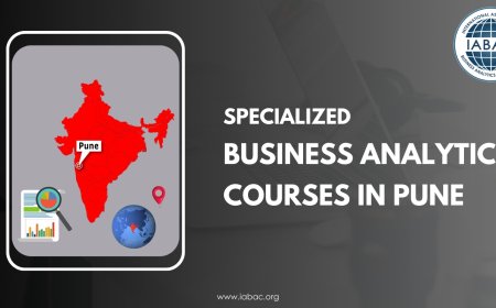 Specialized Business Analytics Courses in Pune