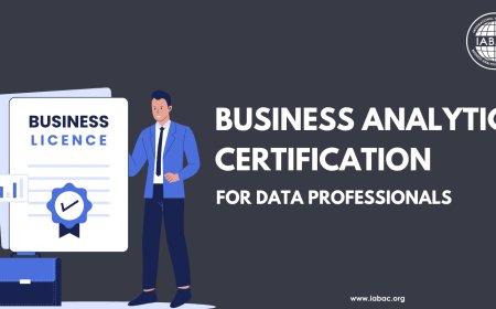 Business Analytics Certification for Data Professionals