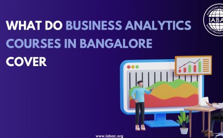 What Do Business Analytics Courses in Bangalore Cover