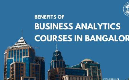 Benefits of Business Analytics Courses in Bangalore