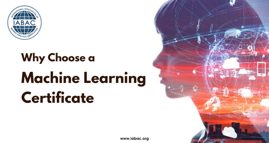 Why Choose a Machine Learning Certificate