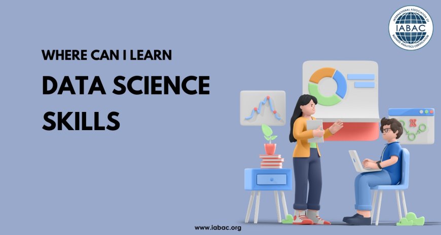 Where Can I Learn Data Science Skills