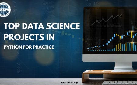 Top Data Science Projects in Python for Practice