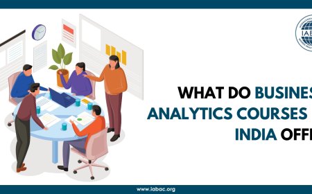 What Do Business Analytics Courses in India Offer