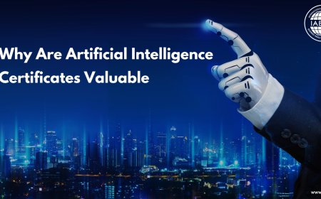 Why Are Artificial Intelligence Certificates Valuable