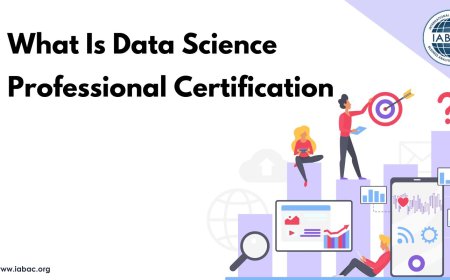 What Is Data Science Professional Certification
