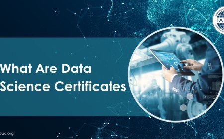 What Are Data Science Certificates