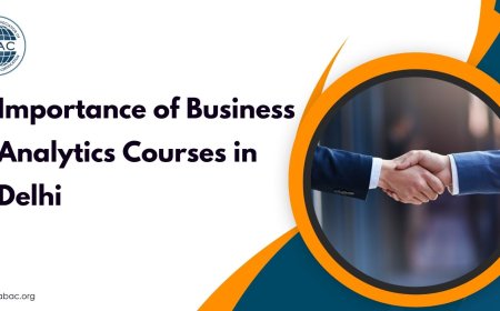 Importance of Business Analytics Courses in Delhi