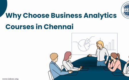 Why Choose Business Analytics Courses in Chennai