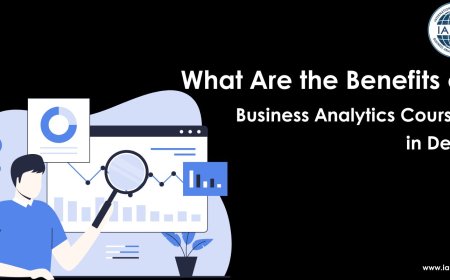 What Are the Benefits of Business Analytics Courses in Delhi