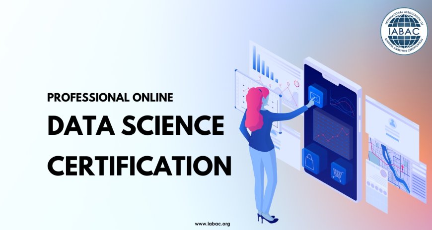 Professional Online Data Science Certification