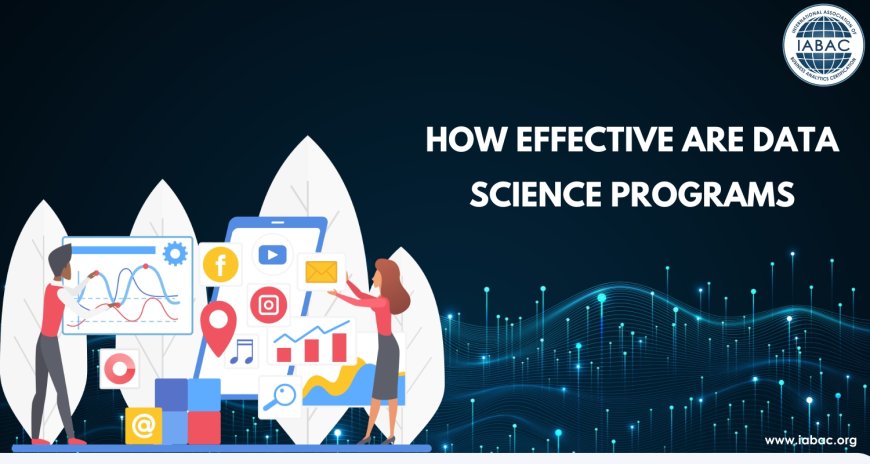 How Effective Are Data Science Programs