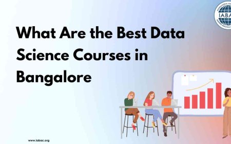 What Are the Best Data Science Courses in Bangalore