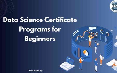 Data Science Certificate Programs for Beginners
