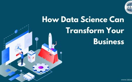 How Data Science Can Transform Your Business