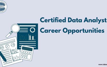Certified Data Analyst Career Opportunities