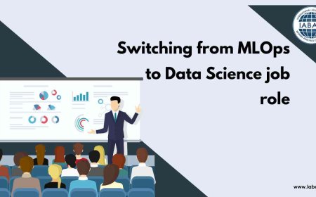 Switching from MLOps to Data Science job role