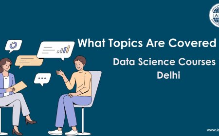 What Topics Are Covered in Data Science Courses in Delhi
