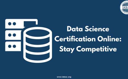 Data Science Certification Online: Stay Competitive