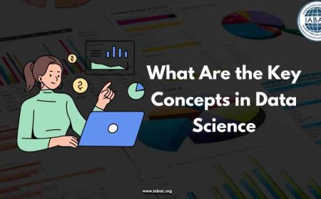 What Are the Key Concepts in Data Science
