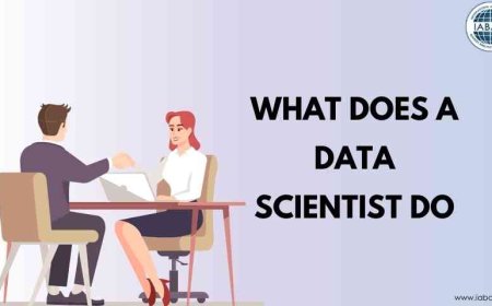 What Does a Data Scientist Do