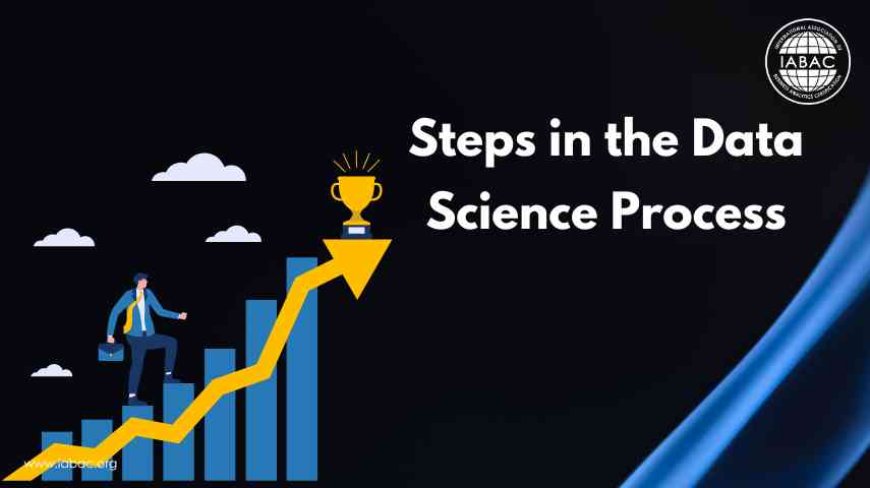 Steps in the Data Science Process