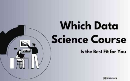 Which Data Science Course Is the Best Fit for You