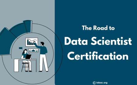 The Road to Data Scientist Certification