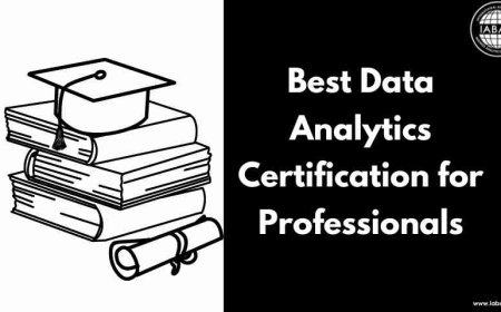 Best Data Analytics Certification for Professionals