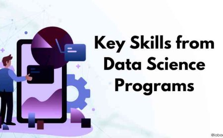 Key Skills from Data Science Programs