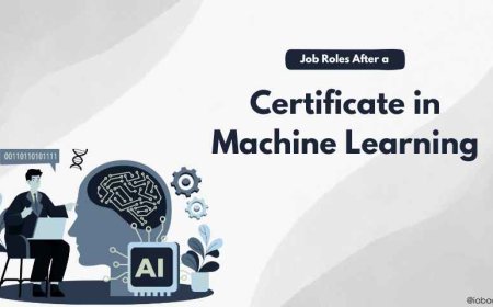 Job Roles After a Certificate in Machine Learning