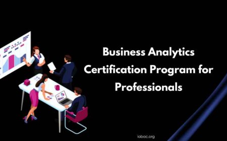 Business Analytics Certification Program for Professionals