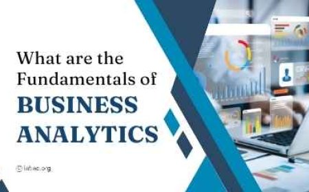 What are the Fundamentals of Business Analytics