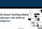 AI for Good: Tackling Global Challenges with Artificial Intelligence