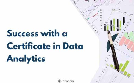 Success with a Certificate in Data Analytics