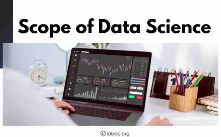 The Scope of Data Science