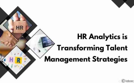 How HR Analytics is Transforming Talent Management Strategies